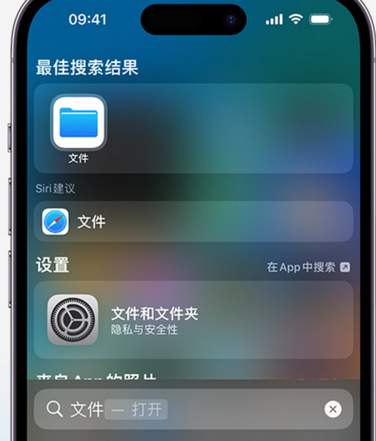 长白apple维修中心分享iPhone文件应用中存储和找到下载文件 