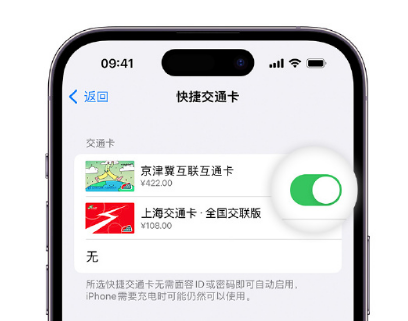 长白apple维修点分享iPhone上更换Apple Pay快捷交通卡手绘卡面 