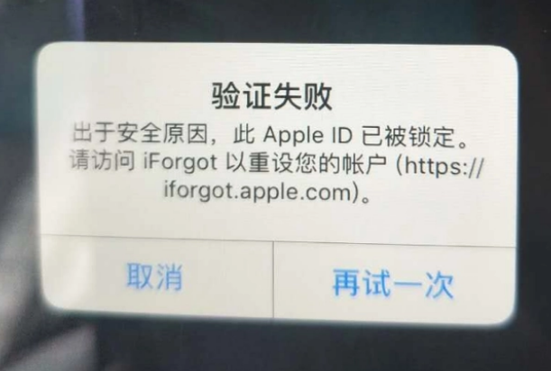 长白iPhone维修分享iPhone上正常登录或使用AppleID怎么办 