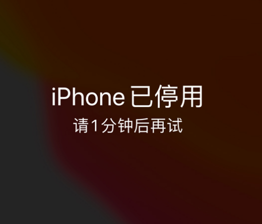 长白苹果手机维修分享:iPhone 显示“不可用”或“已停用”怎么办？还能保留数据吗？ 