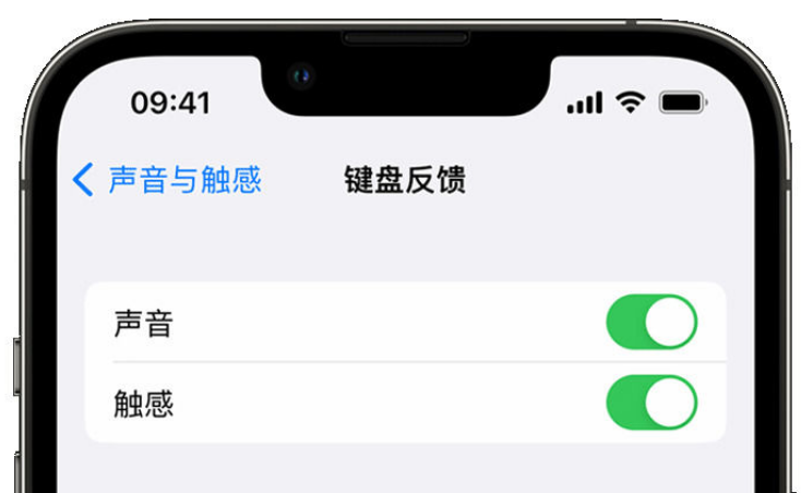 长白苹果手机维修分享iPhone 14触感键盘使用方法 