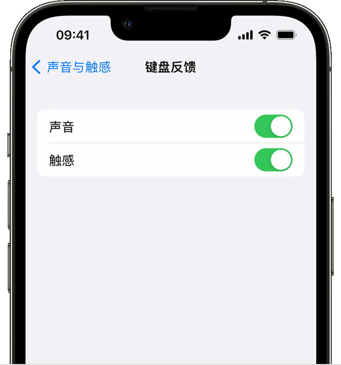 长白苹果14维修店分享如何在 iPhone 14 机型中使用触感键盘 