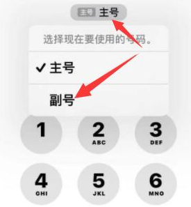 长白苹果14维修店分享iPhone 14 Pro Max使用副卡打电话的方法 