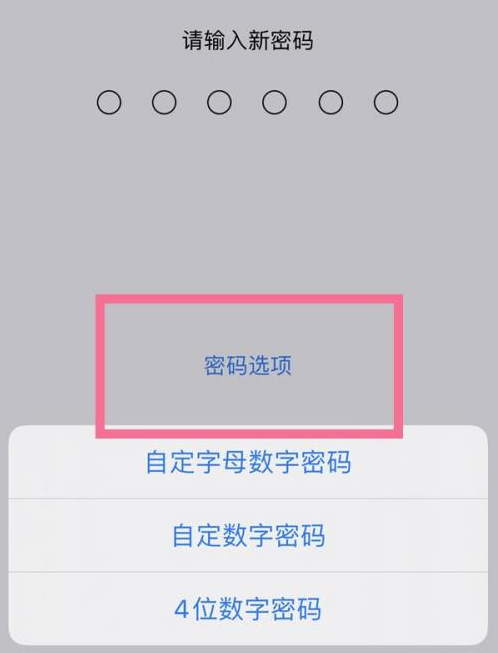 长白苹果14维修分享iPhone 14plus设置密码的方法 