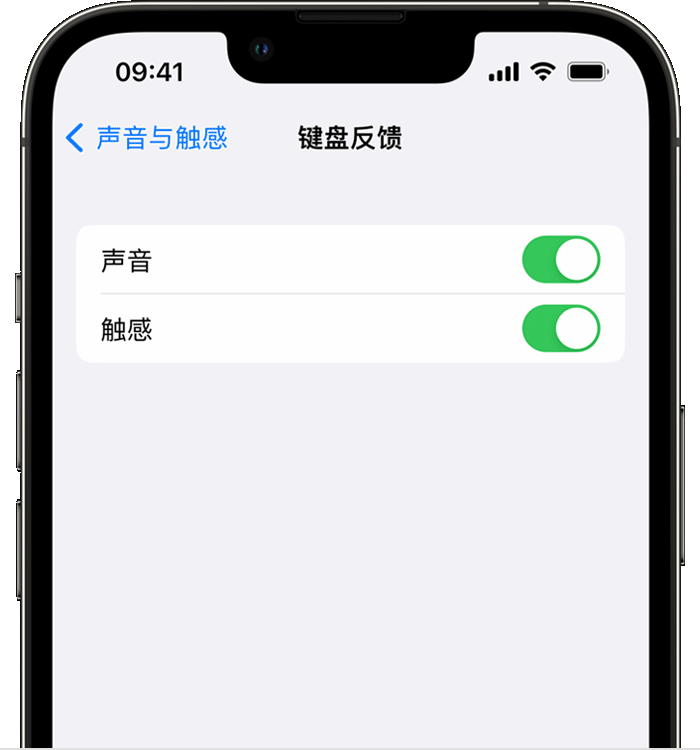 长白苹果14维修分享iPhone 14 系列机型如何开启键盘声音或触感反馈 