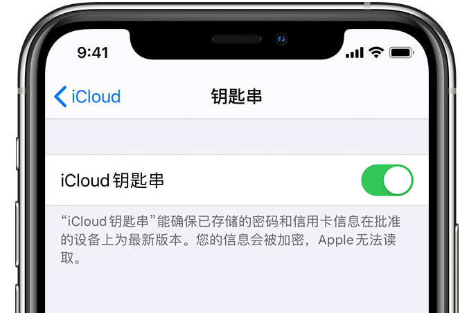 长白苹果手机维修分享在 iPhone 上开启 iCloud 钥匙串之后会储存哪些信息 