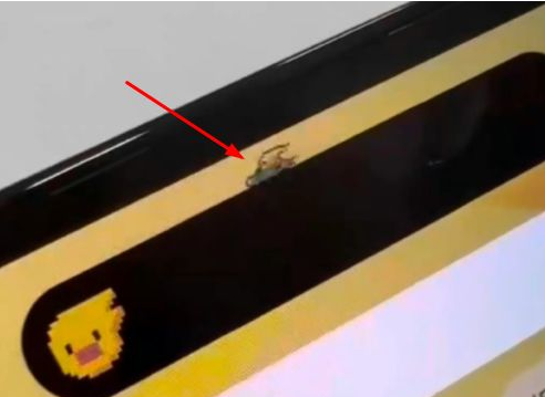 长白苹果14维修分享iPhone 14 Pro Max灵动岛怎么养宠物 