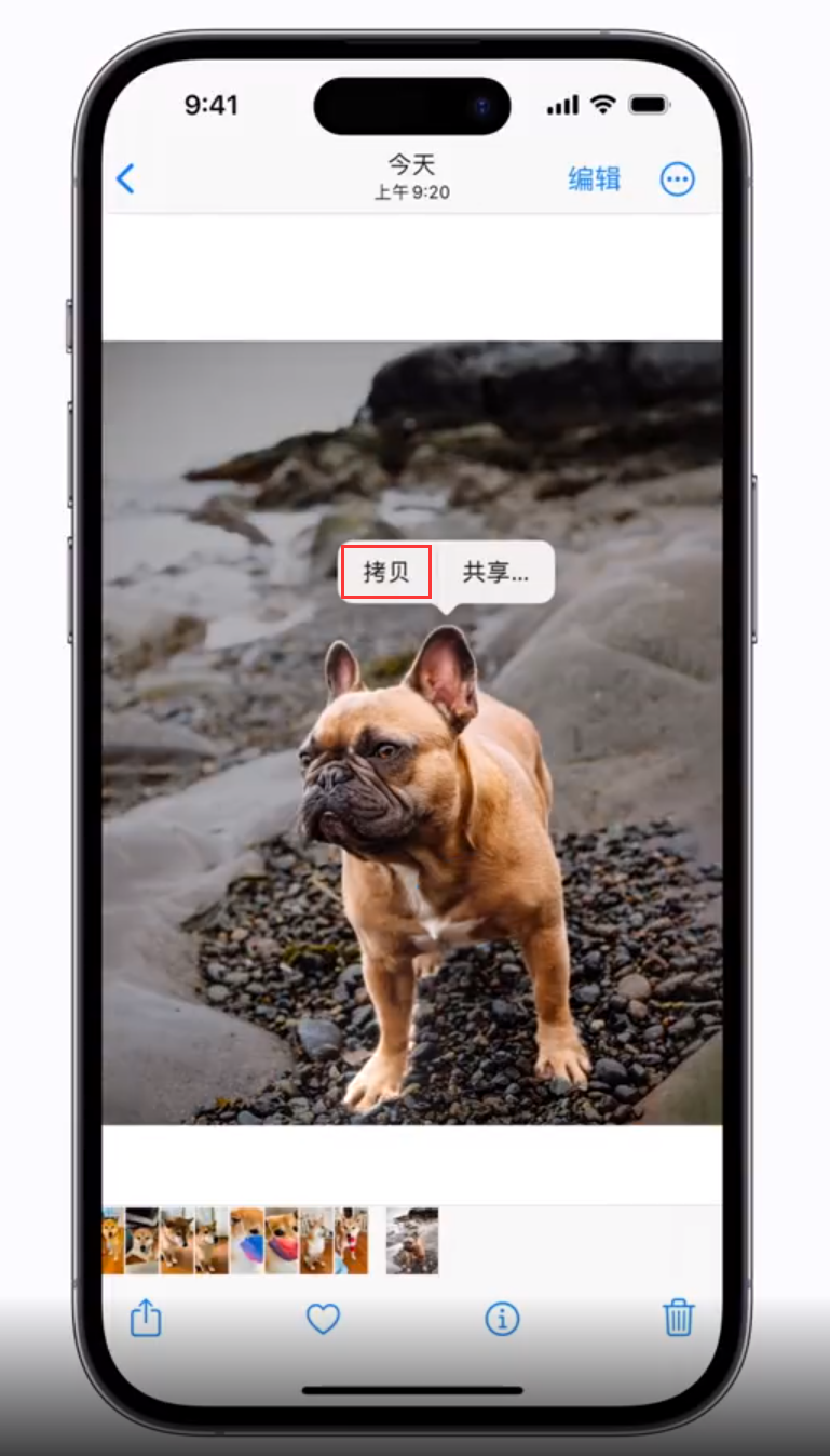 长白苹果手机维修分享 iOS 16 自带一键抠图功能 