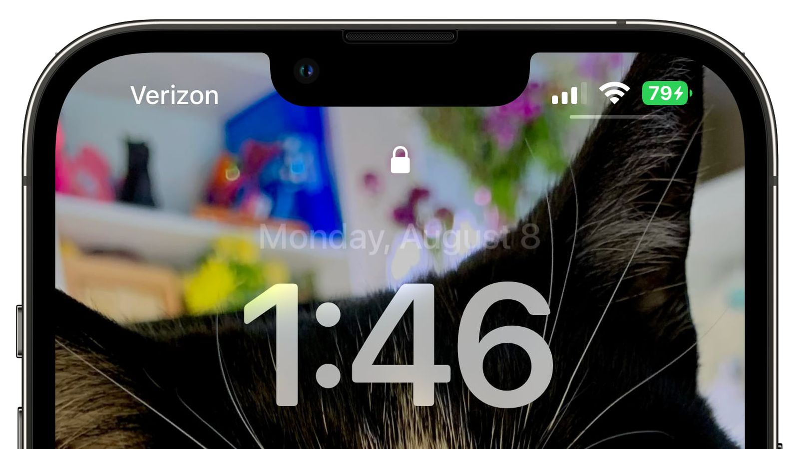 长白苹果手机维修分享iOS 16 beta 5 支持状态栏显示电池百分比，如何开启？支持哪些机型 