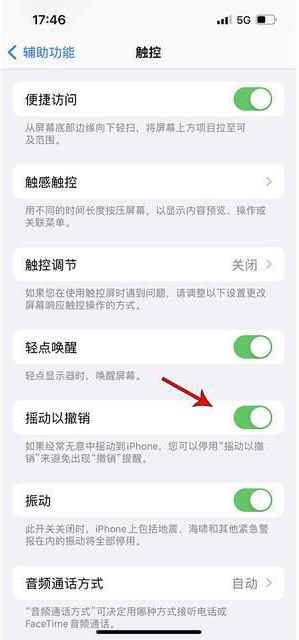 长白苹果手机维修分享iPhone手机如何设置摇一摇删除文字 