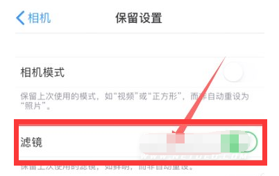 长白苹果13维修分享iPhone13拍照有绿点是怎么回事 
