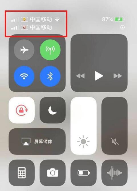 长白苹果手机维修分享为 iPhone 12 双卡设置标签 