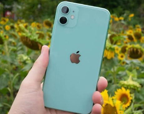 长白苹果维修点分享iPhone 11锁屏密码认知与使用科普 